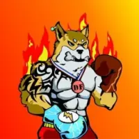 DOGE FIGHTER Logo