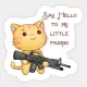 BabyCatFace