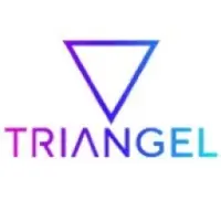 Triangel Logo
