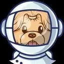 Nasa Pup Logo