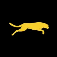 Cheetah Network Logo