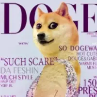 SexyDoge Logo