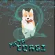 META CORGI
