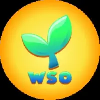 Widi Soul Logo