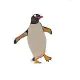 Pinguim
