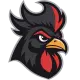 BLACK CoQ