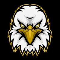 Eagle Vision Logo