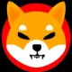 FlokiShiba