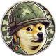 VIETDOGE