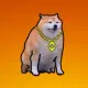 Chonky Inu