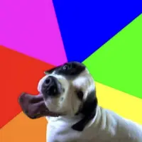 BINI INU Logo