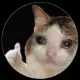 Cry Coin