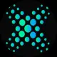 BITFLEX