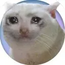 Sad Catge Logo