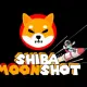 ShibaMoonShot