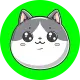 CATSCAN AI