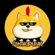 FlokiPunk