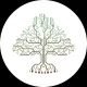 CedarToken