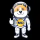 Mars DogeCoin