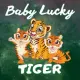 Baby Lucky Tiger