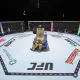 JUST A CHILL UFC GUY