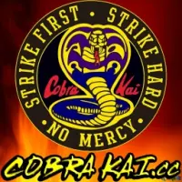 Cobra Kai Coin Logo