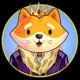 King Floki Coin
