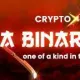 Crypto X Seed