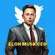 Elon Musk CEO