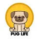 Pug Life