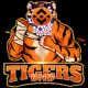 BNBTigers