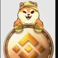 BabyDogeBNB Logo