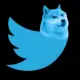 Tweety Doge