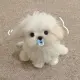 dofi
