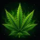 Dankzys DopeHouse