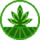 Strains
