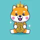 Baby Doge King