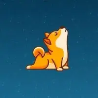 SONDOGE Logo