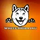 WHITE SHIBA INU