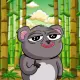 Koala Cole