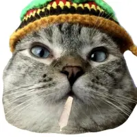 RASTACAT Logo