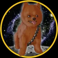 DogeWookiee Logo