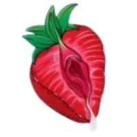 PussyCoin Logo