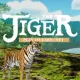 The Tiger Game