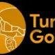 Turtle Gold