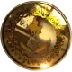 Digital Dinar