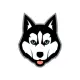 Balto Token