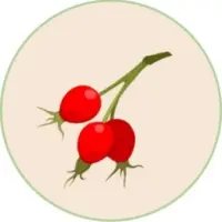 Rosehip Finance Logo