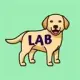 LABRADOGGE