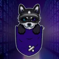 HuskyCoin Logo